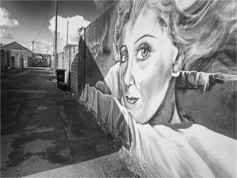 Digital-Gold-Alistair Mackay-Pegs Home Town - Mike Rowe Memorial