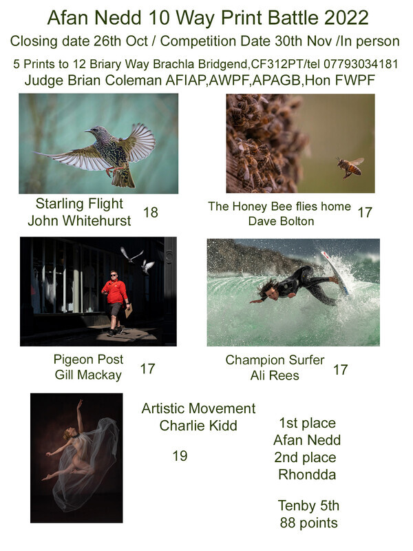 2022 Afan Nedd - Afan Nedd Print Battle