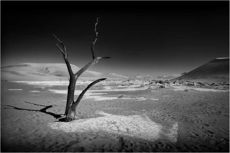 2nd Print Dead Vlei Mike Cullis - POTY