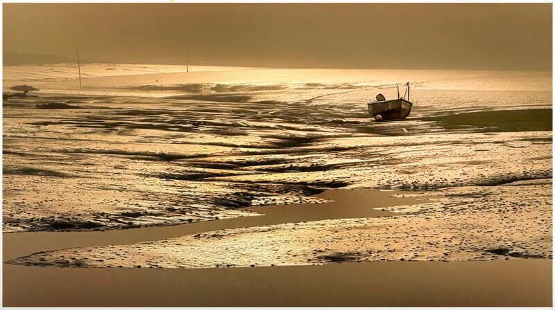 Digital - Bronze - Jan Sullivan - High and Dry - Landscape