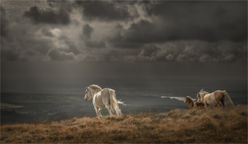 Print-Silver-Jan Sullivan-Heading For Shelter - 1st Open