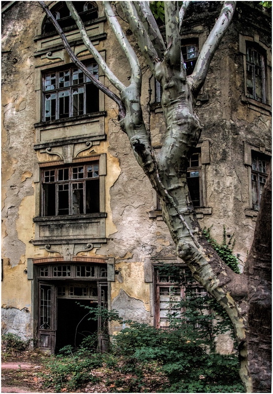 1 Old Hotel  - Panels