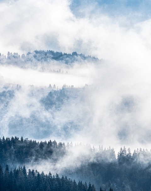 Print Silver - Jan Sullivan - Morning Mist IN the Rhodopi Mountains - 3rd Open