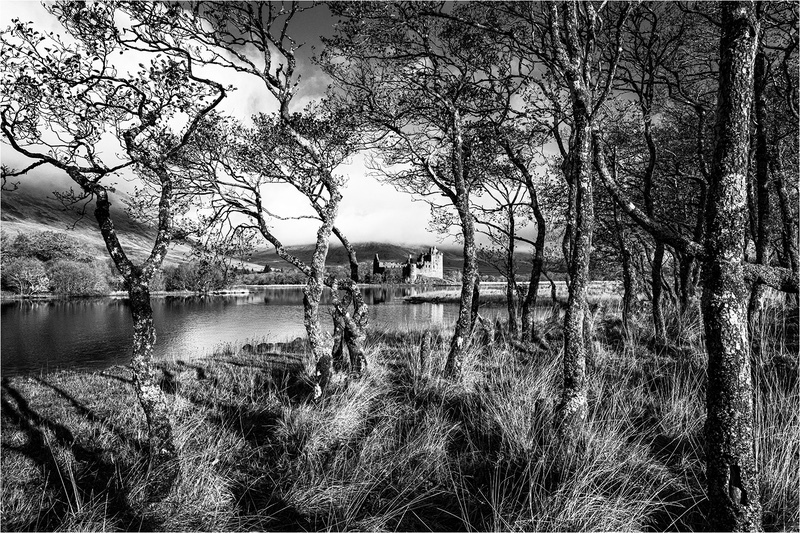 Bronze - Liz Wallis - On the banks of Loch Awe - Mono