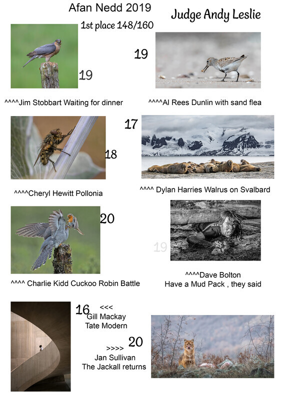 2019 Afan Nedd  - Afan Nedd Print Battle