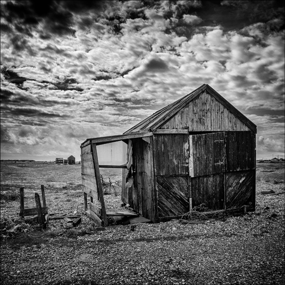 DUNGNESS 1 - COAST
