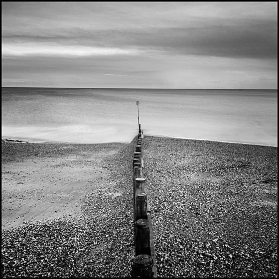 DIVISION - COAST