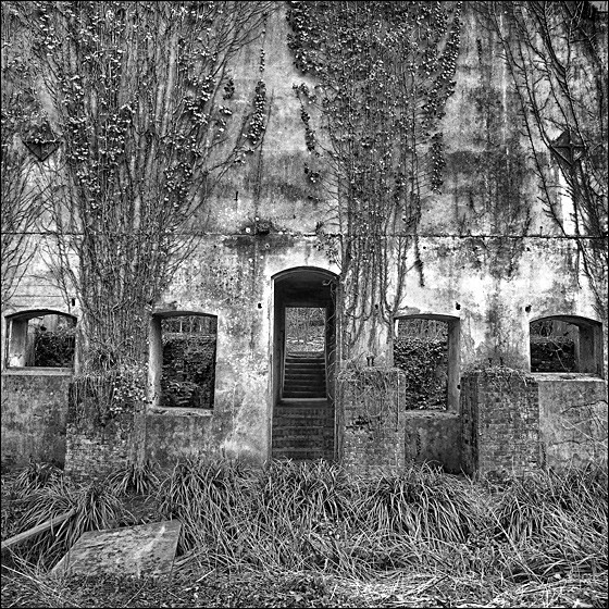 GUNPOWDER MILL - LANDSCAPE