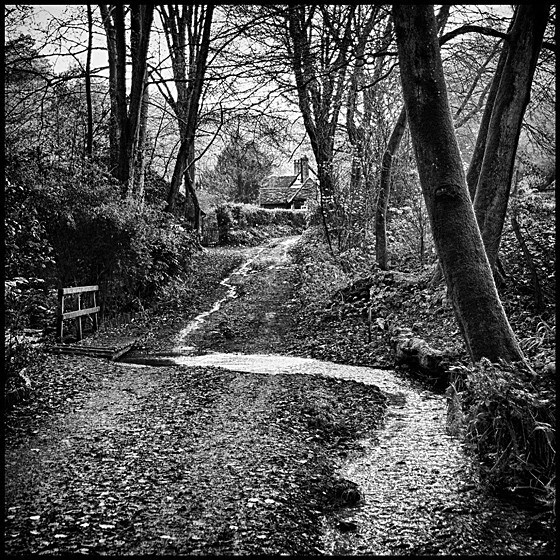 SMALL FORD - LANDSCAPE