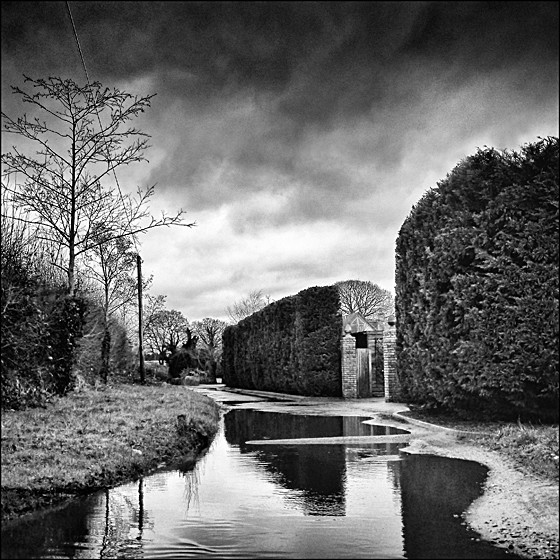 BURHILL LANE - LANDSCAPE