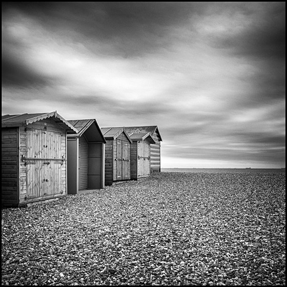 BACK TO THE WIND - COAST