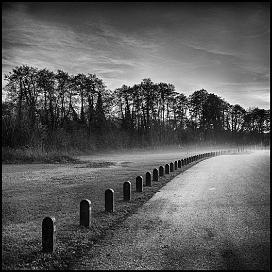 DUSK - LANDSCAPE