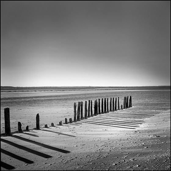 MARCH OF POSTS - COAST