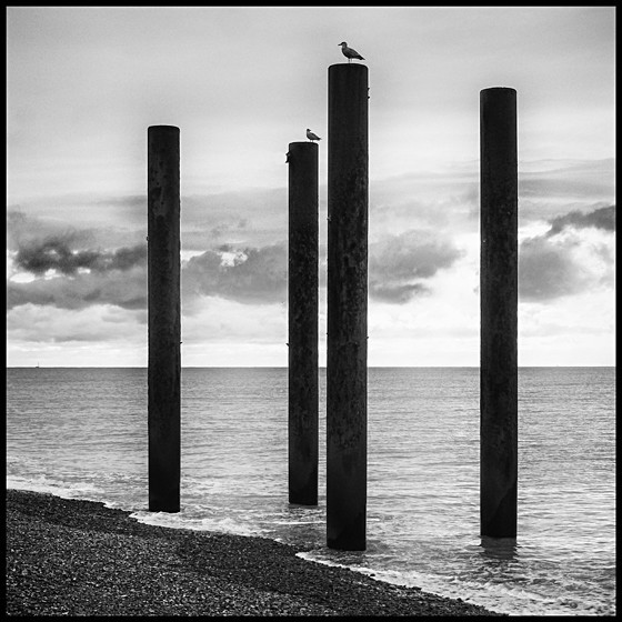 SEA COLUMNS - COAST