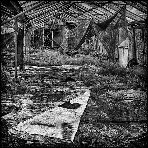 GLASS HOUSE 1 - INTERIORS