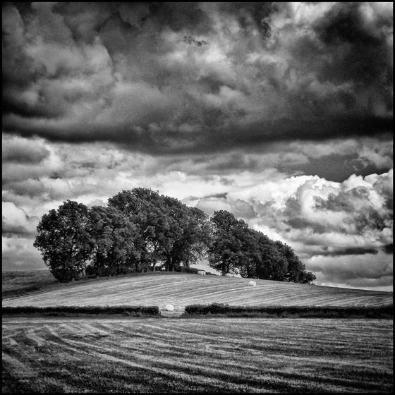 Gap - TREES