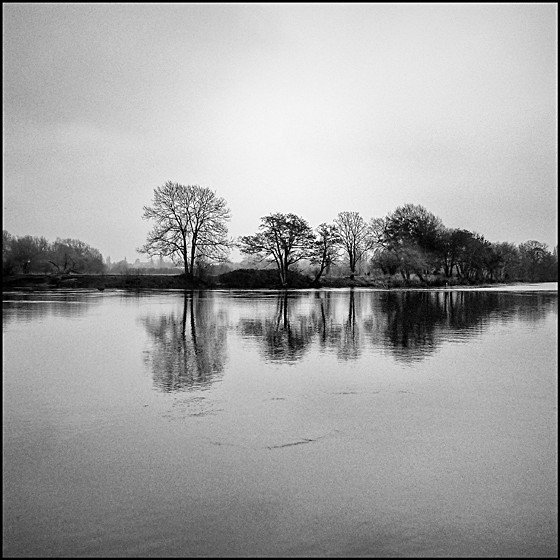 THAMES SHEPERTON - LANDSCAPE