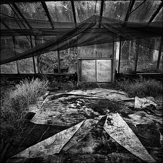 GLASS HOUSE 2 - INTERIORS