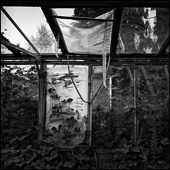 GLASS HOUSE 3 - INTERIORS