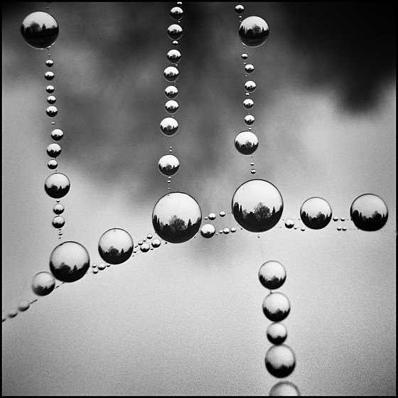 WEB - ABSTRACT