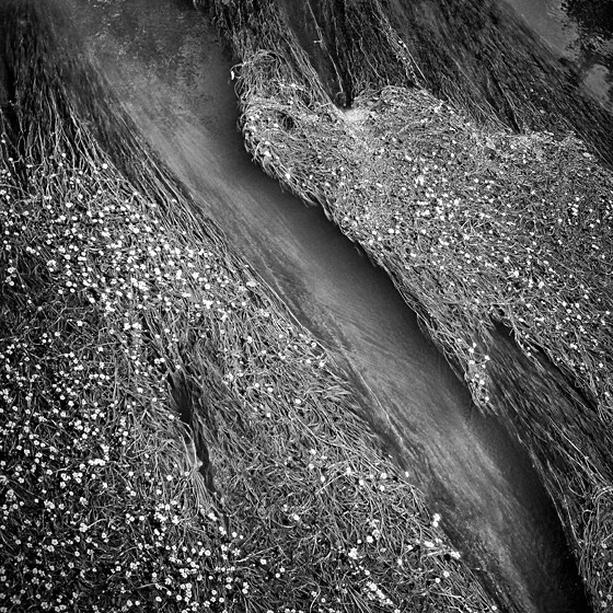 FLOW - ABSTRACT