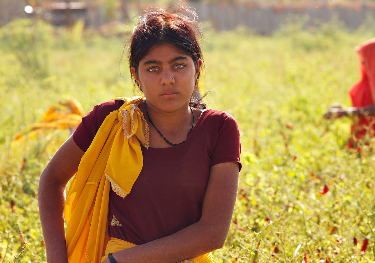 Beautiful chilly picker, Chatra Sagar - Rajasthan - India