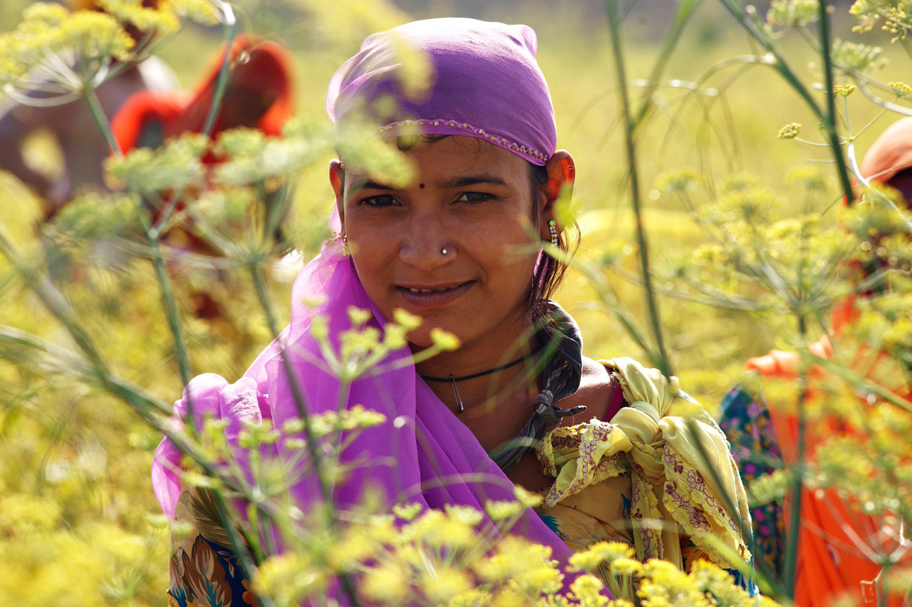 Chille picker, Chatra Sagar, Rajasthan - India
