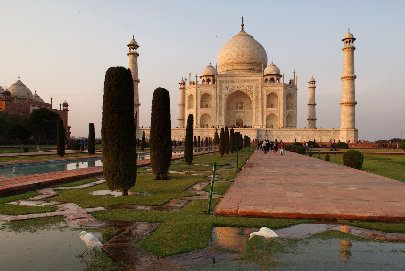 The Taj Mahal  & herons - India