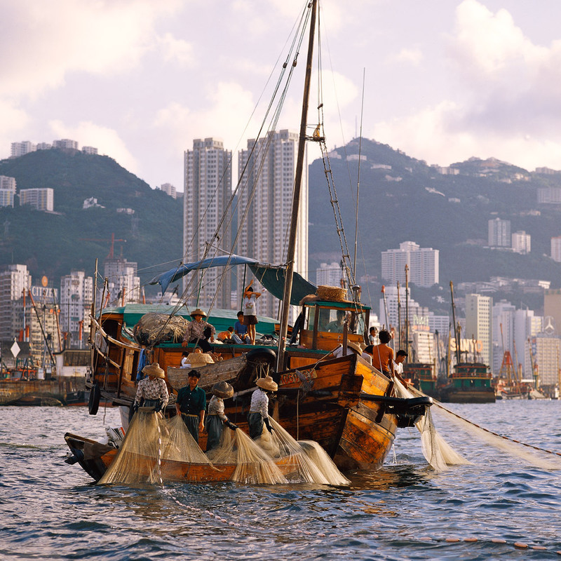 KM-01 Fishing in harbour off Causeway Bay - 1980 - Junks, Sampans & Fishing in the 1970s & 80s