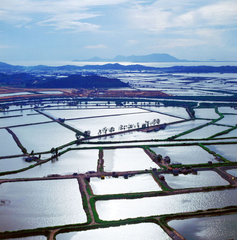 KM-100 Hong Kong, New Territories, Mai Po Marshes - 1978 - Hong Kong in the 70s and 80s