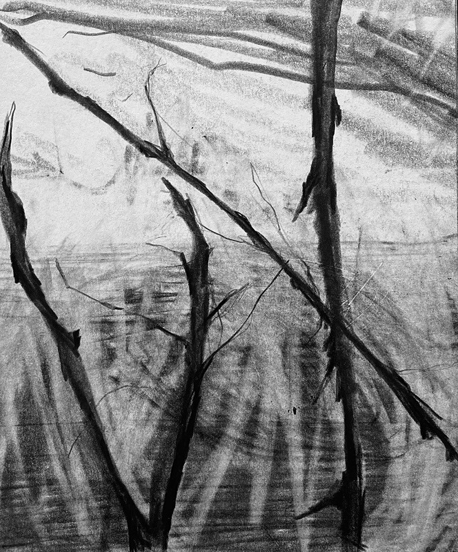 Bogland Matter 18, 16cm x 20cm - Burgeon Bog Project