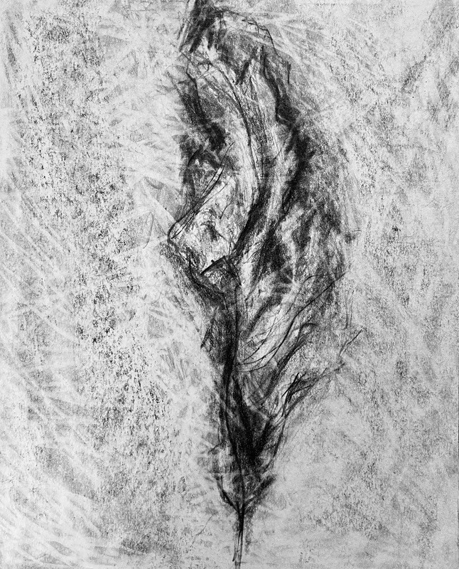 Bogland Matter 20, 16cm x 20cm - Burgeon Bog Project