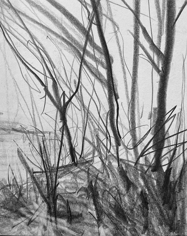 Bogland Matter 27, 16cm x 20cm - Burgeon Bog Project