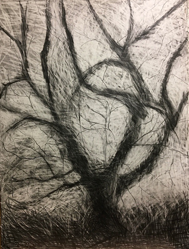 Wild Wood Drawing 7 56cm x 76cm Graphite on Paper - Wild Woods Drawing Series 2021