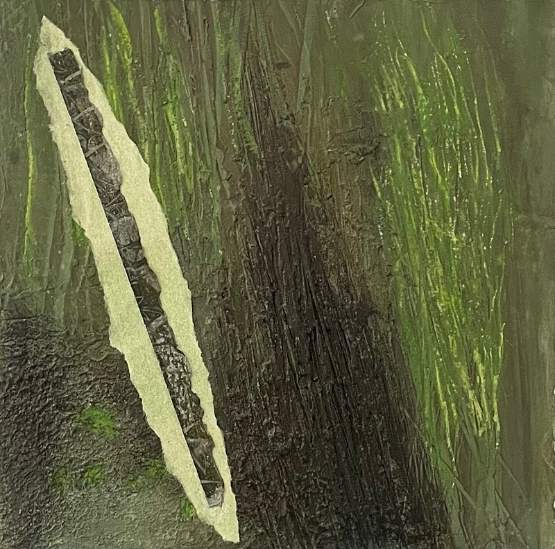 Bog Earth 4, 15cm x 15cm - Burgeon Bog Project
