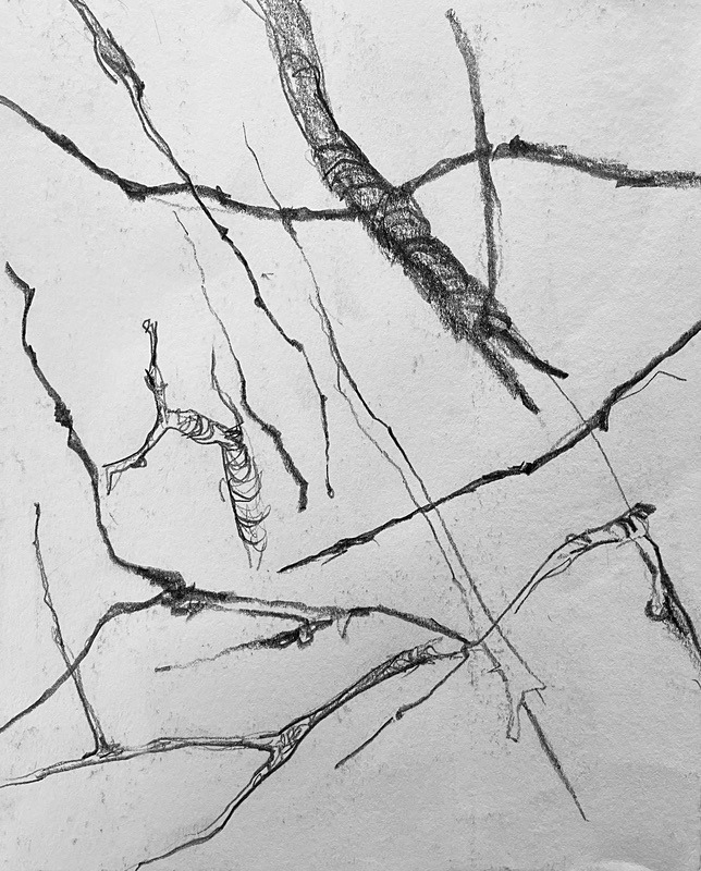 Bogland Matter 28, 16cm x20cm - Burgeon Bog Project