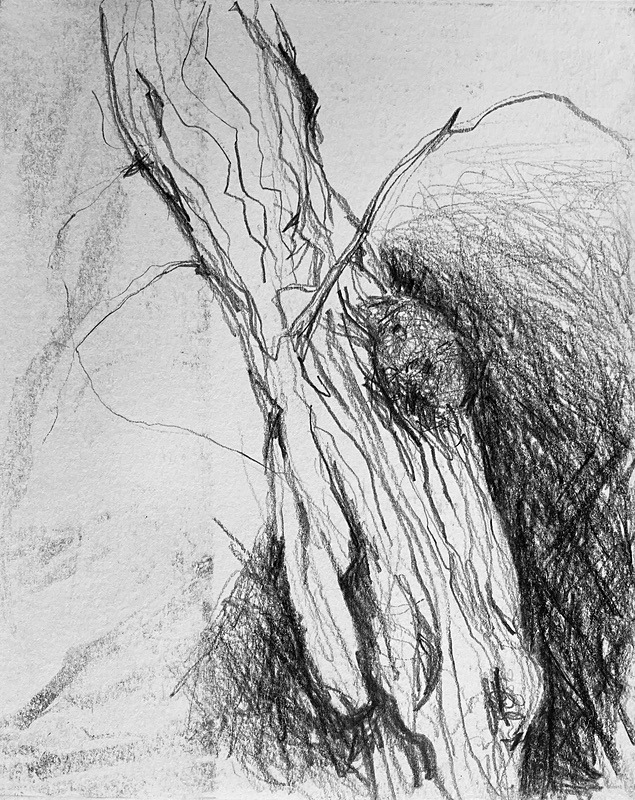 Bogland Matter 17, 16cm x 20cm - Burgeon Bog Project