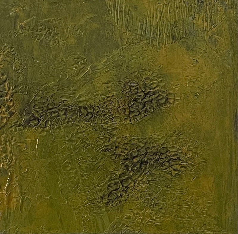 Bog Earth 15, 15cm x 15cm - Burgeon Bog Project