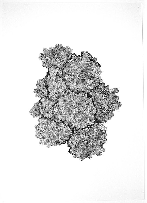 Fray and Fragment 12, Indian Ink  on  Paper, 59cm x 84cm, - Fray and Fragment, Drawings, 2011