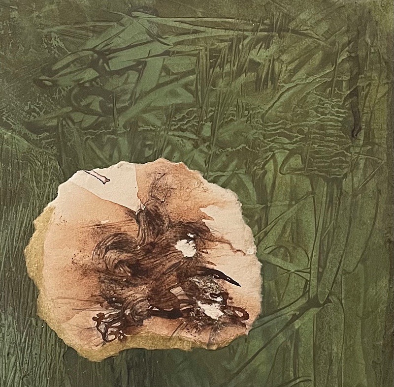 Bog Earth 2, 15cm x 15cm - Burgeon Bog Project