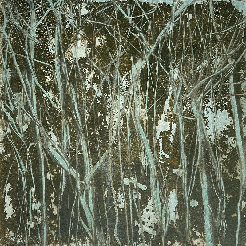 Bogland Water 30, 17cm x 17cm - Burgeon Bog Project