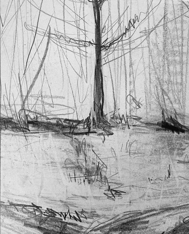 Bogland Matter 24, 16cm x 20cm - Burgeon Bog Project