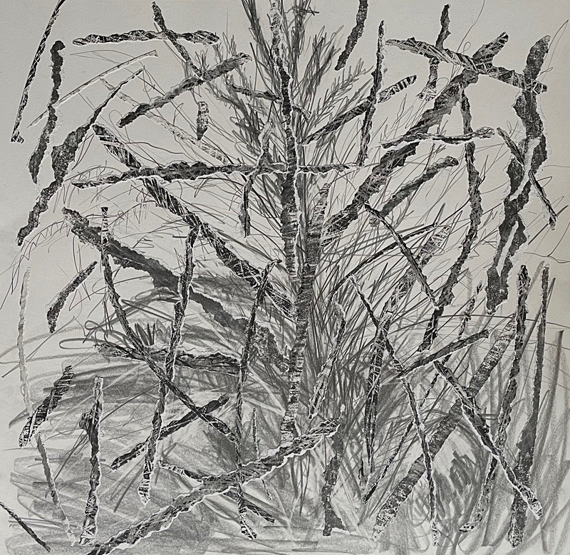 Bogland Strata 41, 60cm x 60cm - Burgeon Bog Project