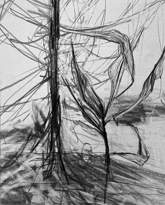 Bogland Matter 21, 16cm x 20cm - Burgeon Bog Project