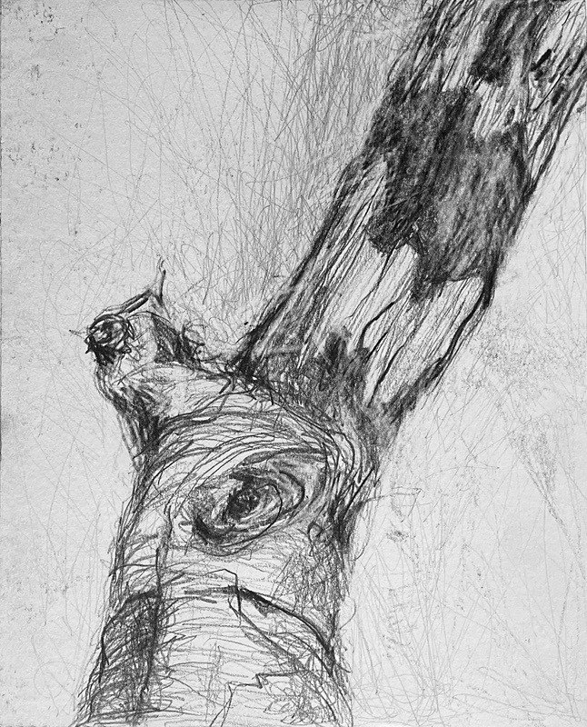 Bogland Matter 22, 16cm x 20cm - Burgeon Bog Project