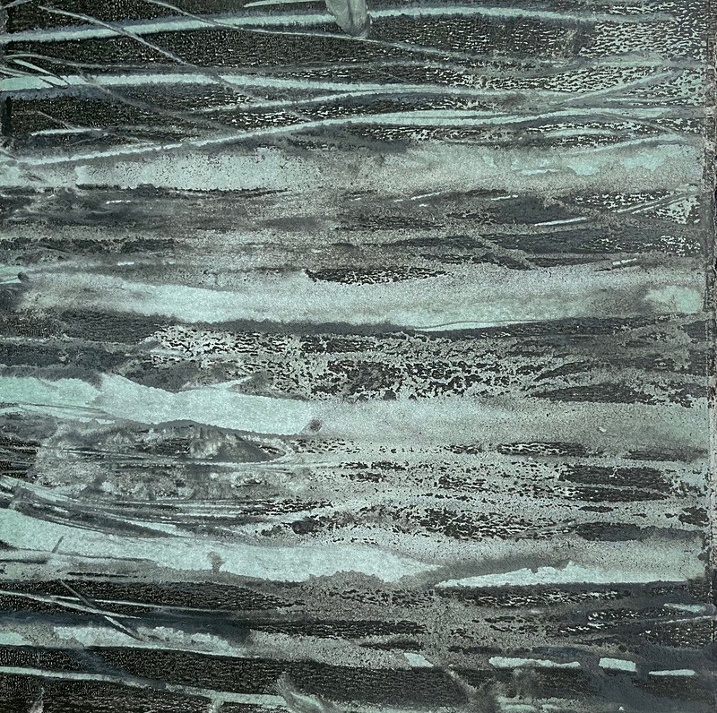 Bog Water 29, 17cm x 17cm - Burgeon Bog Project