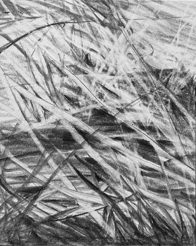 Bogland Matter 25, 16cm x 20cm - Burgeon Bog Project