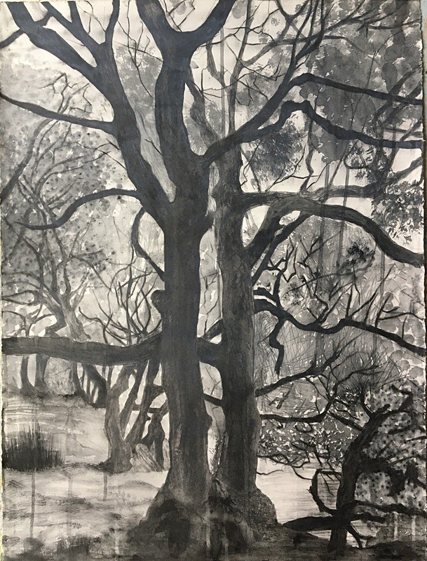 Wild Wood Drawing 3 56cm x 76cm Mixed Media on Paper - Wild Woods Drawing Series 2021
