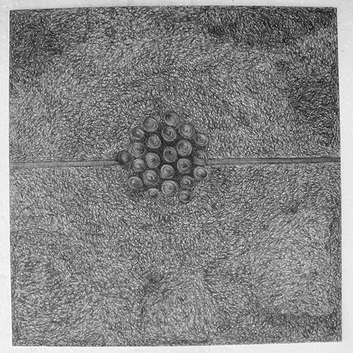 collision 1 pen on paper 300 x 305mm - Collision Series, Drawings 2009 - 2010
