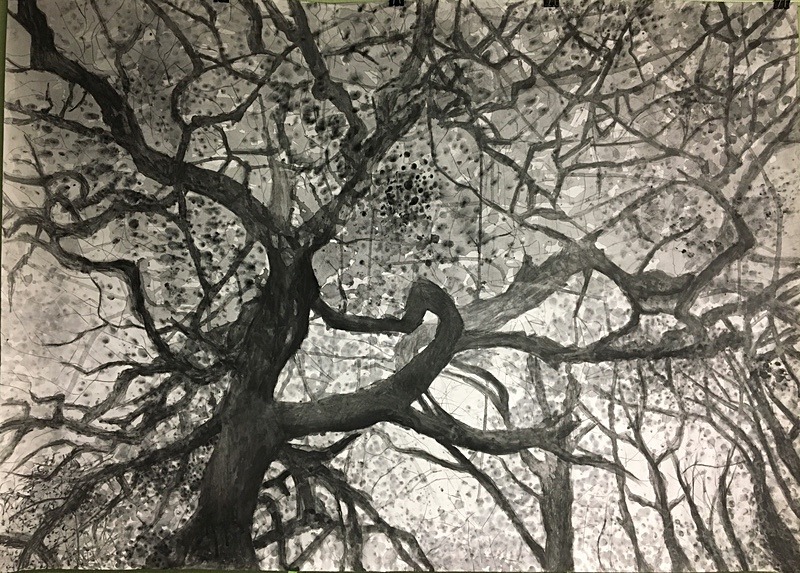 Wild Wood Drawing Series 1 110cm x 80cm Mixed Media on Paper - Wild Woods Drawing Series 2021